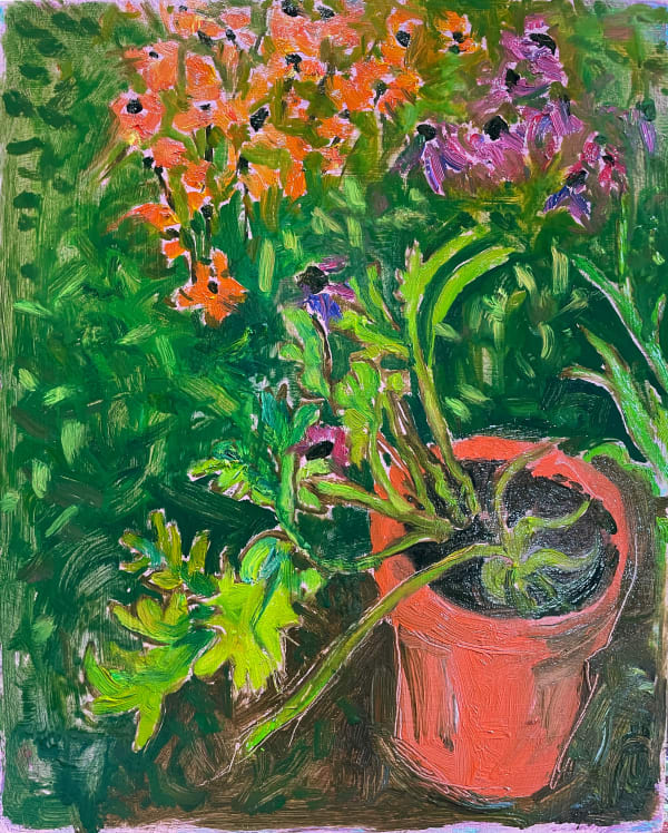 Jane Wheeler, Courgettes in a Pot