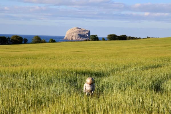 Arran Ross, Another Fine Day on Earth, Bass Rock II