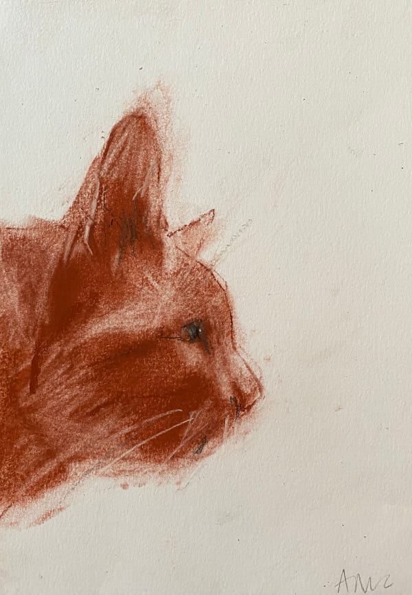 Amelia McComb - Jenny