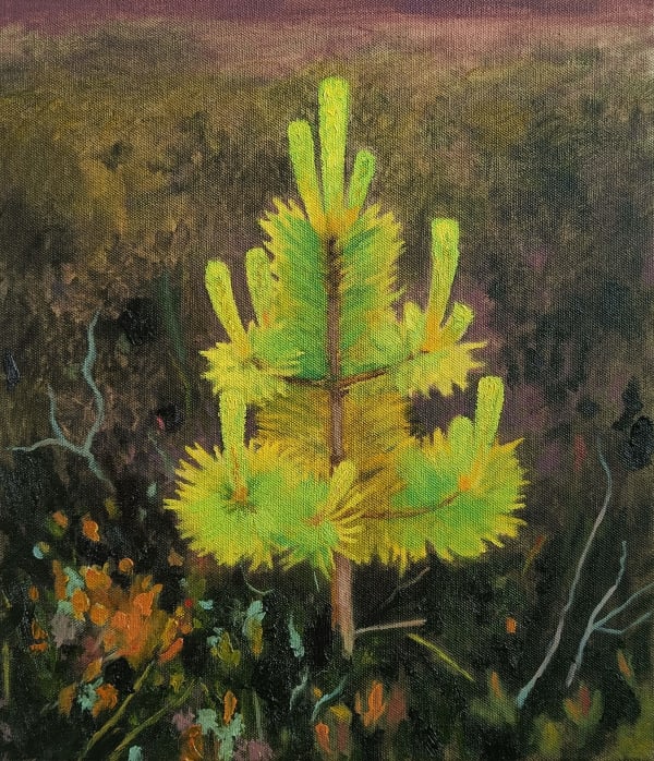 Fanny Arnesen, Whispers I