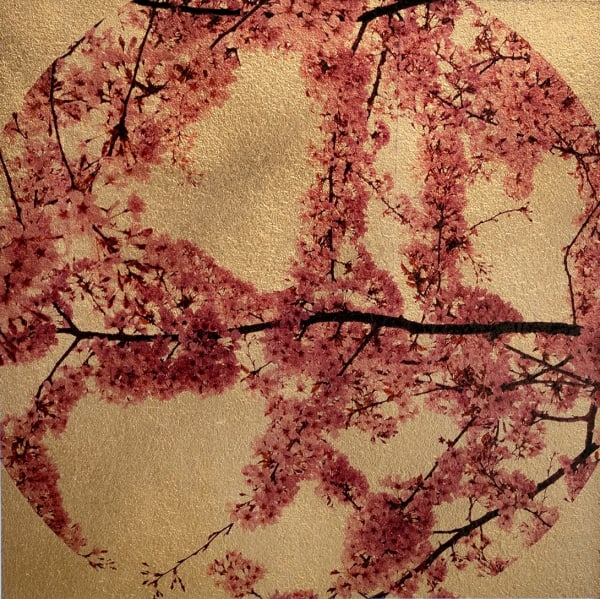 Robert Pereira Hind, Prunus Sakura II