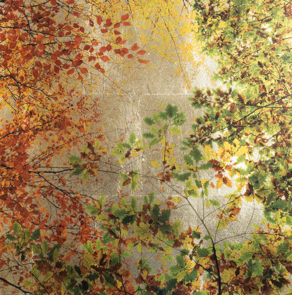 Robert Pereira Hind, Arboris Autumn