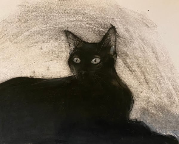 Amelia McComb, Phoebe