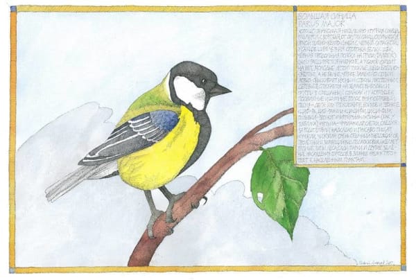 Nikita Alekseev, GREAT TIT • БОЛЬШАЯ СИНИЦА, 2012