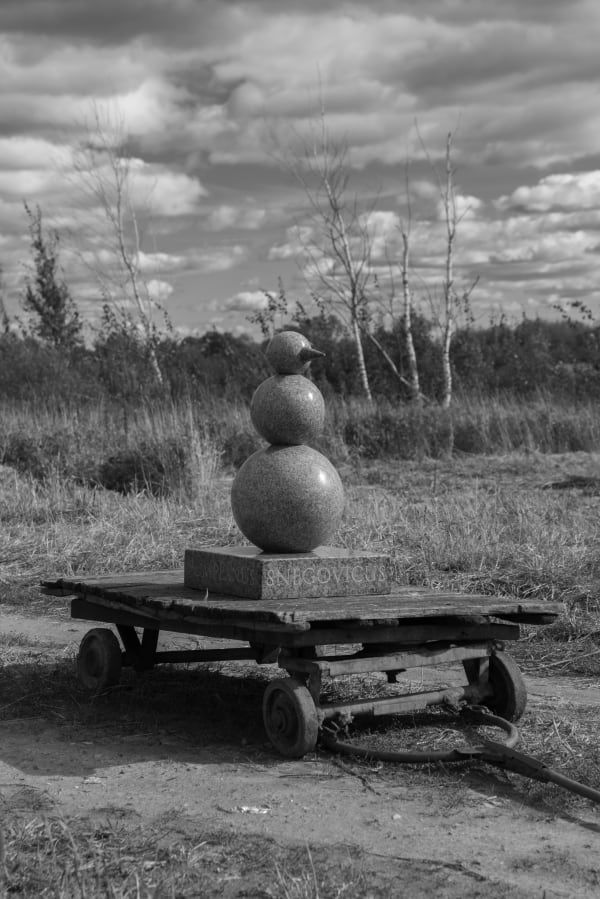 Katerina Kovaleva, SNEGOVICUS POMPEANUS, 2012