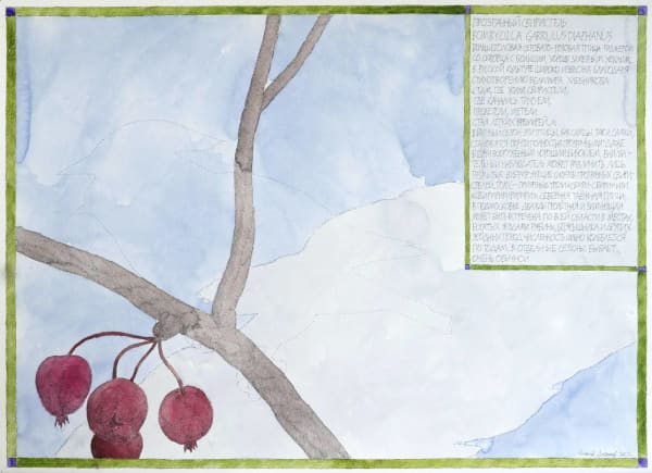 Nikita Alekseev, THE WAXWING TRANSPARENT • ПРОЗРАЧНЫЙ СВИРИСТЕЛЬ, 2012