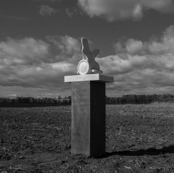 Katerina Kovaleva, OSSA DE OSSIBUS. BONE FROM THE BONE OR THE VERTEBRA OF A WHALE OSSA DE OSSIBUS • КОСТЬ ОТ КОСТЕЙ ИЛИ ПОЗВОНОК КИТА, 2018