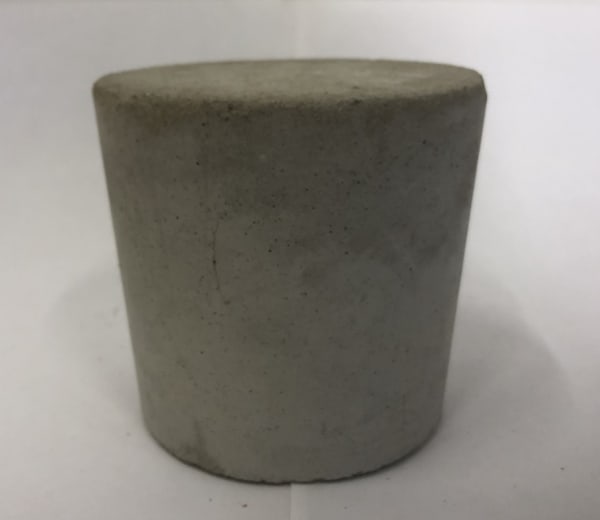 Anya Zholud, HOUSEPLANT • КОМНАТНОЕ РАСТЕНИЕ