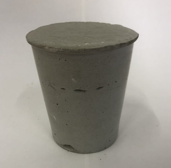 Anya Zholud, HOUSEPLANT • КОМНАТНОЕ РАСТЕНИЕ