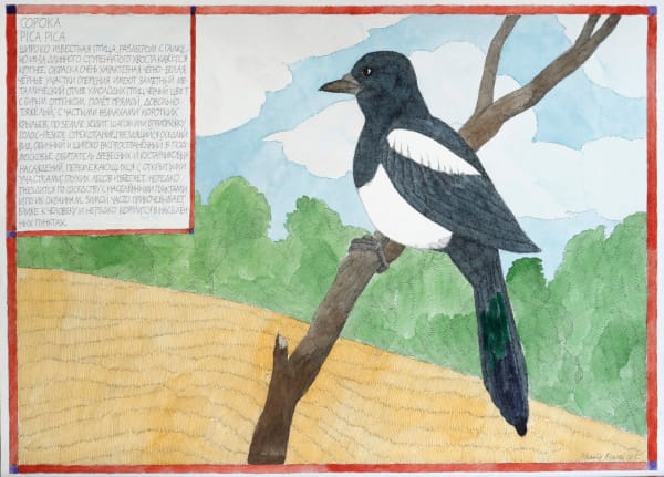 Nikita Alekseev, MAGPIE • СОРОКА, 2012