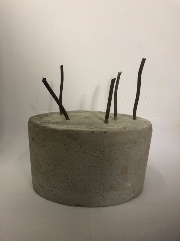 Anya Zholud, HOUSEPLANT #1 • КОМНАТНОЕ РАСТЕНИЕ #1