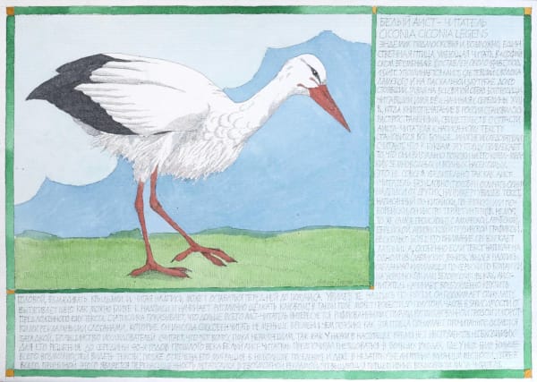 Nikita Alekseev, WHITE STORK-READER • БЕЛЫЙ АИСТ-ЧИТАТЕЛЬ, 2012