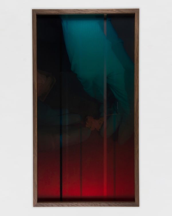 Saskia Noor van Imhoff Torpor, 2025 UV print on mirror, UV print on glass, smoked oak frame 95 x 50 x 6 cm | 37 3/8 x 19 3/4 x 2 3/8 in Edition of 2 plus 1 artist's proof