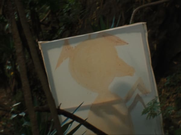 Rosalind Nashashibi, Vivian's Garden (video still), 2017