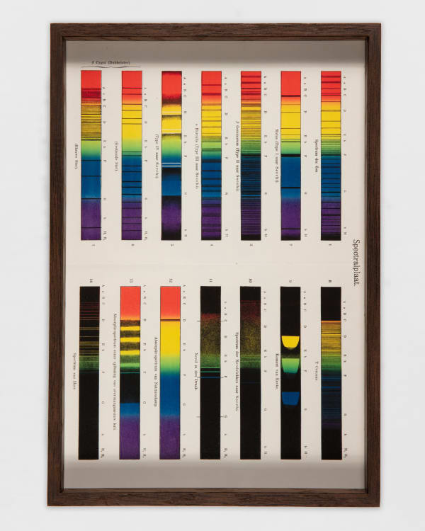 Saskia Noor van Imhoff Torpor, 2025 EHM print, smoked oak frame with museum glass 28 x 40 cm | 11 x 15 3/4 in Edition of 2 plus 1 artist's proof