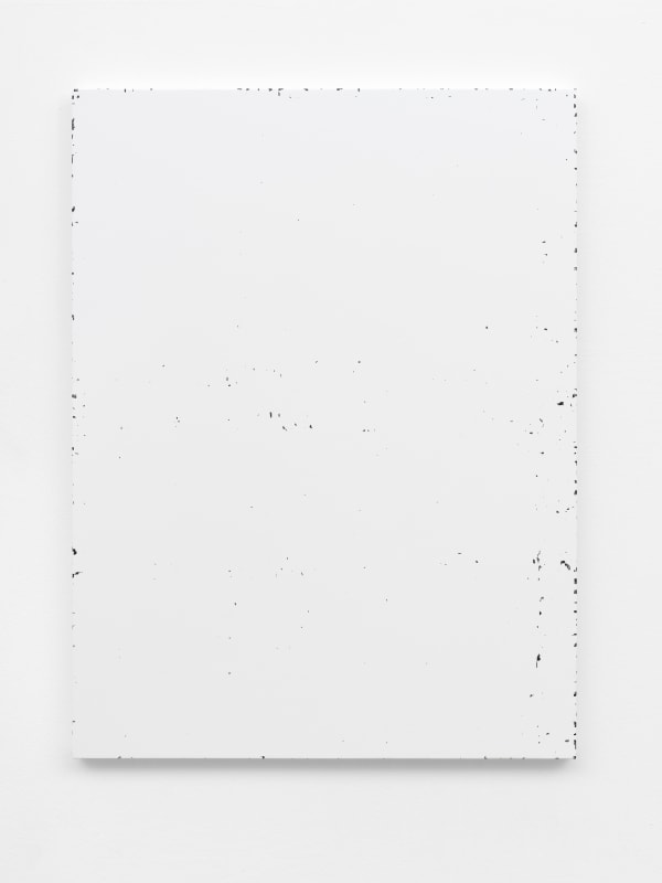 Michael Riedel, Art Material, 2017