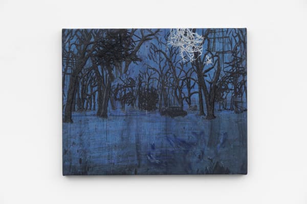 Michael Raedecker, demo (unavouable), 2020