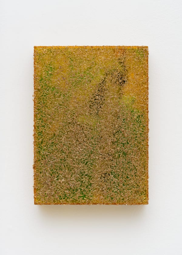 Saskia Noor van Imhoff Untitled, 2024 EHM print, plexiglas, grass and varnish 36 x 25.7 x 6 cm | 14 1/8 x 10 1/8 x 2 3/8 in