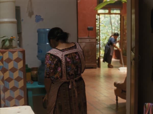 Rosalind Nashashibi, Vivian's Garden (video still), 2017