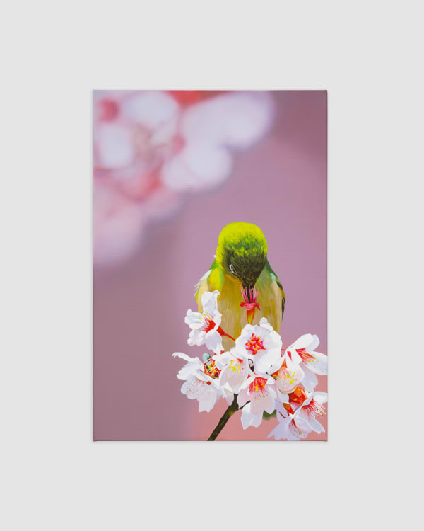 Alex Dordoy The Flowers and the Hours (Interlude), 2024 Acrylic on canvas 75 x 50 cm | 29 1/2 x 19 3/4 in