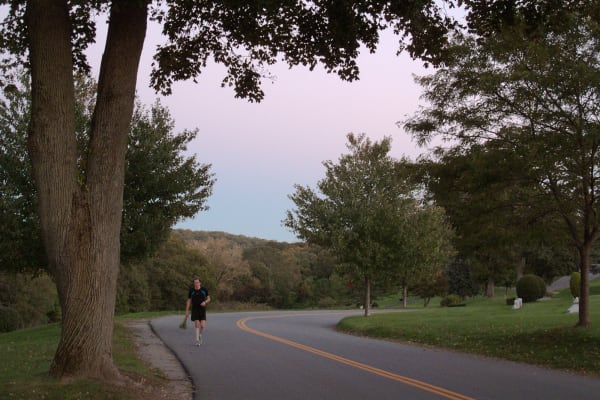 Guido van der Werve, Nummer dertien, Effugium a, chamomile; Russia’s national flower or running to Rachmaninoff (14/16), 2011