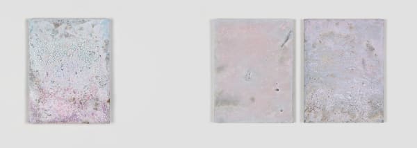 An image of three medium sized pieces consisting of pigmented rigid foam, prosthetic rubber, and seeds hanging on a white wall.