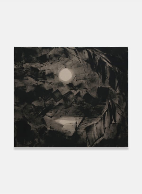 Robert Zandvliet, Moonlight, 2010