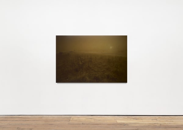 An inkjet print of a shadowy landscape.