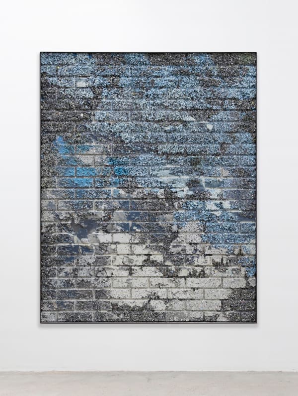 Nick van Woert, The Princeville (Sears Home), 2018