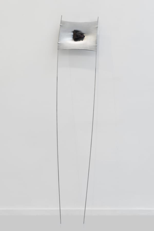 An image of a black object sitting in the center of an off white prosthetic rubber square, suspended by two thin aluminum rods.