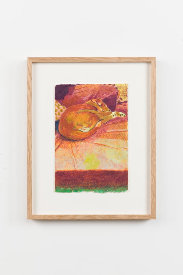 Anthony Cudahy Seneca sleeping, 2022 Color pencil on paper, framed 33.5 x 26.6 x 2.9 cm | 13 1/4 x 10 1/2 x 1 1/8 in
