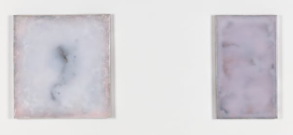 An image of two pink pigmented panels hanging on a white wall.