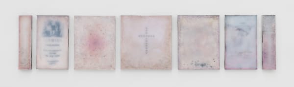 An image of seven pieces varying in width and materials, such as pigmented rigid foam, rubber, black ants, sea shells, poppy seeds, all hanging side by side on a white wall.