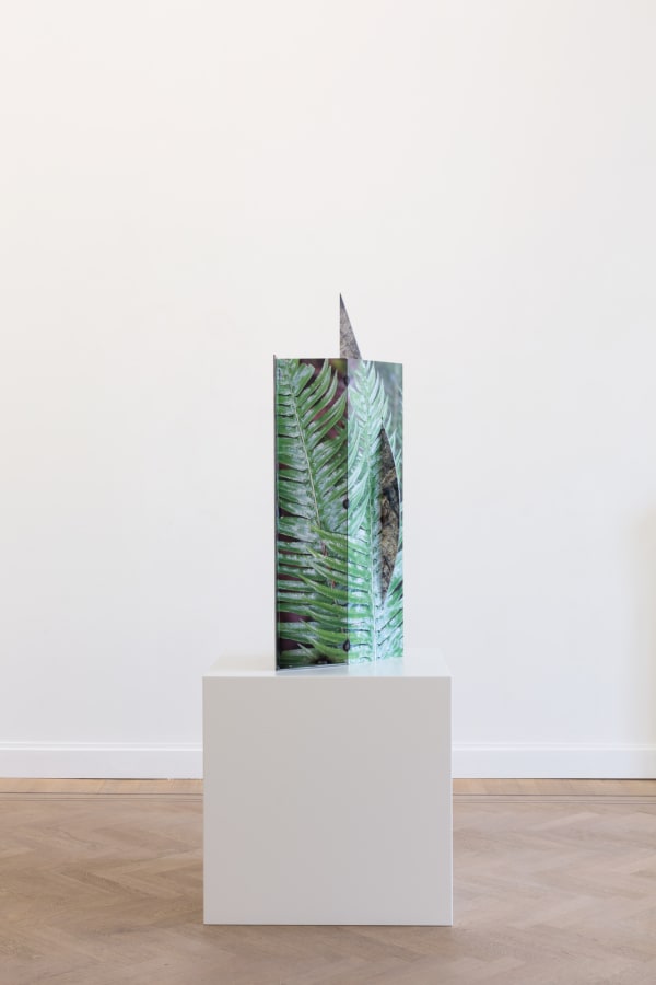 Letha Wilson Pacific Fern Fold Steel, 2019 UV prints on Corten Steel 114.3 x 52.1 x 27.9 cm | 45 x 20 1/2 x 11 in