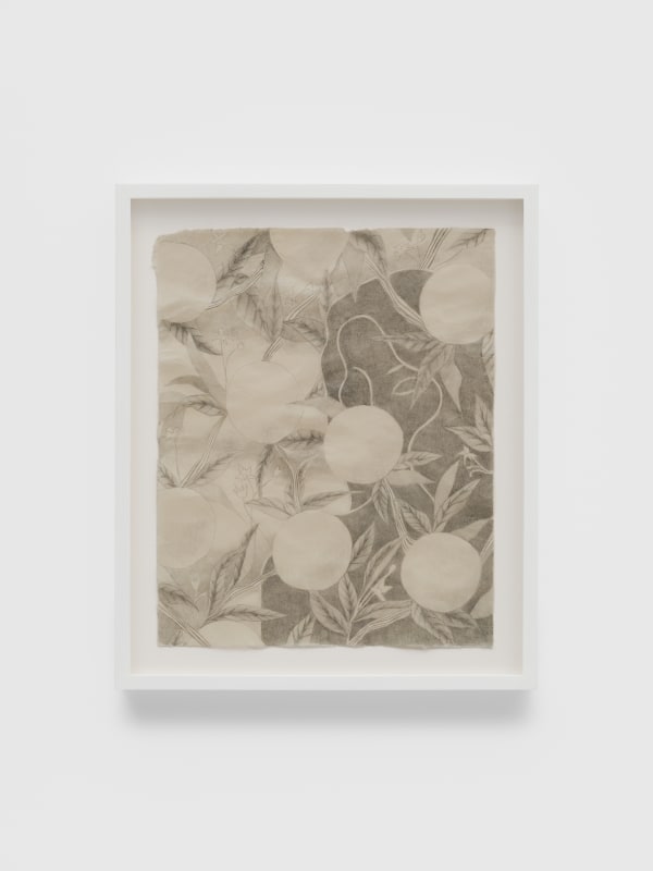 Larysa Myers Orange blossom, 2025 Graphite on Japanese paper, framed 35.6 x 28.6 cm | 14 x 11 1/4 in