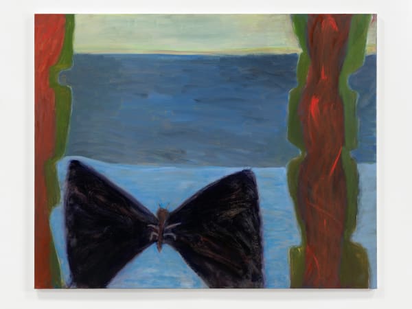 Rosalind Nashashibi, Heavy Moth, 2022