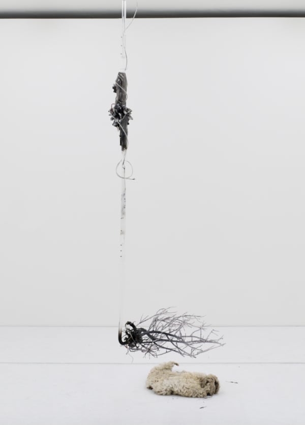 An image of raw sheep skin and roots on a white floor, above them suspends a structure consisting of acrylic tube, fabric, and wire.