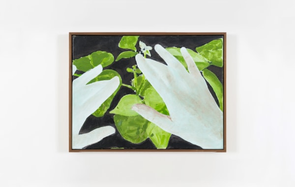 Ciarán Murphy, Thicket, 2020