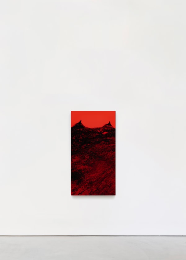 Saskia Noor van Imhoff Sugar and Air (I), 2024 EHM print and diasec mounted on wood 95 x 50 x 6 cm | 37 3/8 x 19 3/4 x 2 3/8 in Edition of 2 plus 1 artist's proof