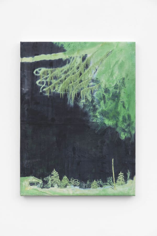 Michael Raedecker, demo (backtrack-portrait), 2020