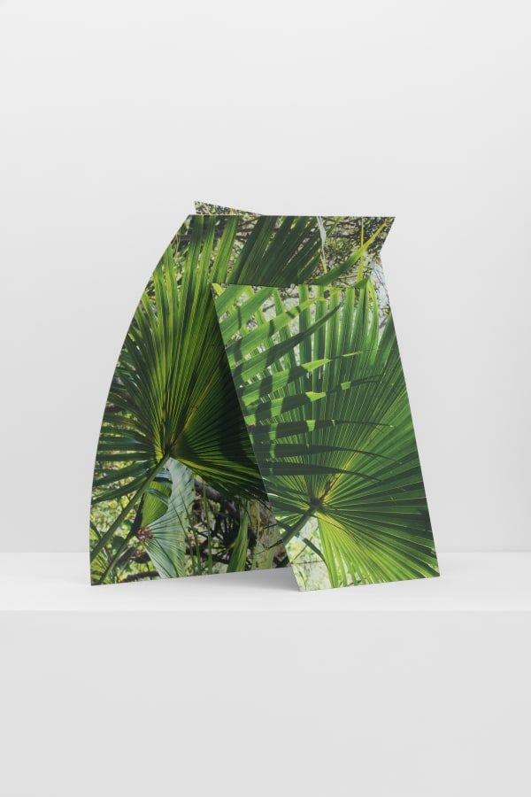 Letha Wilson, Two Palms Lean, 2023