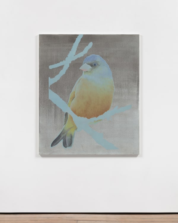 Ciarán Murphy, sonomus, 2023