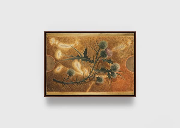 Rafał Topolewski Thistle II, 2025 Oil on linen, framed 32.5 x 45 cm | 12 3/4 x 17 3/4 in