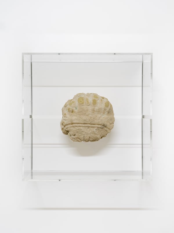 A mixed media piece in a glass case.