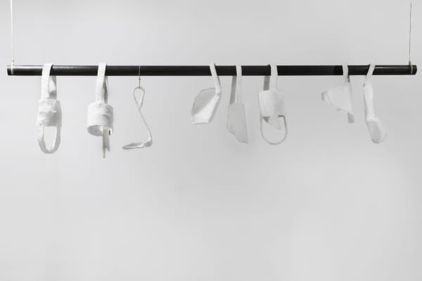 Miguel Ybáñez, Carcasas al sol, 2017