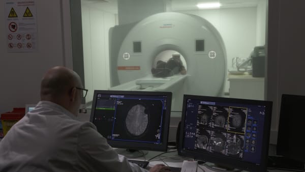 Guido van der Werve, Akte vier, song for myself (video still), 2023