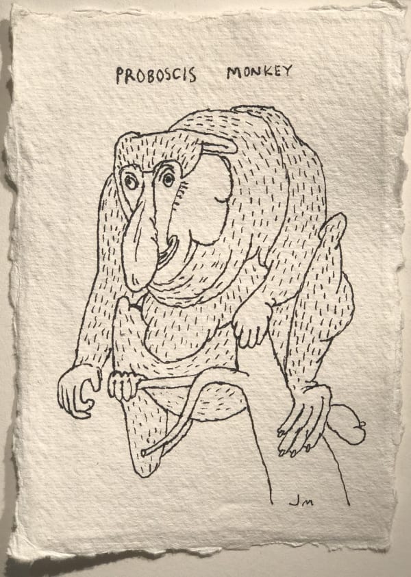 Jim Moir Proboscis Monkey, 2018 Ink on paper 15.5 x 11 cm