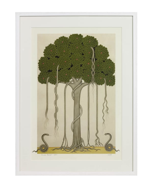 Olivia Fraser, Banyan Tree, 2010