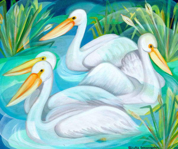 Senaka Senanayake, Pelicans, 1993