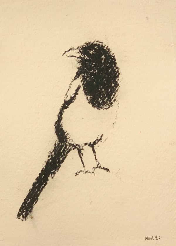 Jim Moir b. 1959Magpie 1, 2019 Charcoal on paper 21 x 15.5 cm 8 1/4 x 6 1/8 in